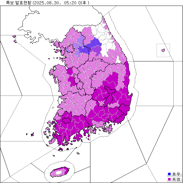 특보이미지